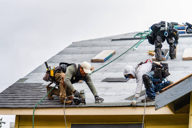 Professional Emergency Roof Repair technician working in Damon, TX